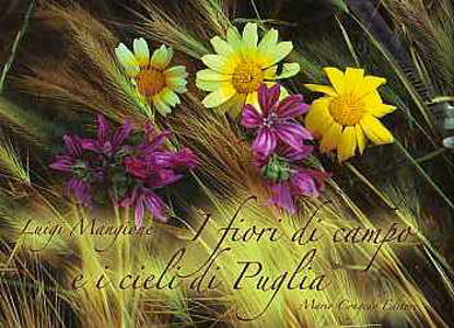 Immagine di I fiori di campo e i cieli di Puglia